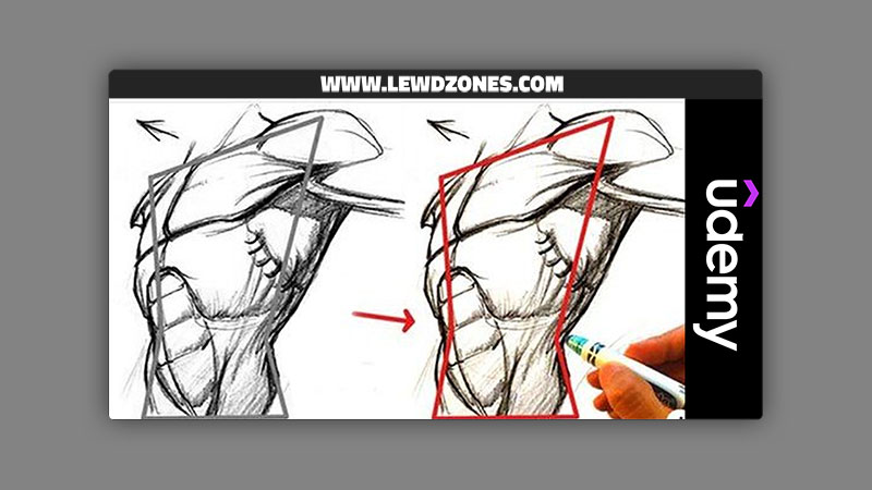 How To Pen Drawing - One Shape I Torso To Draw Any Body